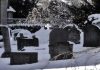 Death Still Certain. Company Taxes Less So.