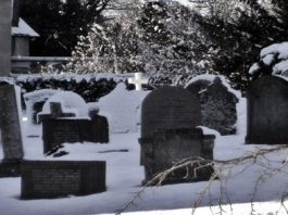 Death Still Certain. Company Taxes Less So.