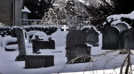 Death Still Certain. Company Taxes Less So.