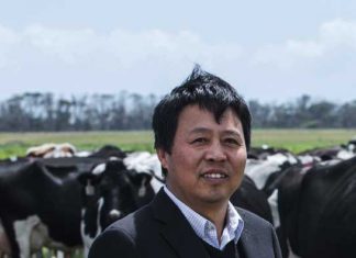 Morrison ticks off sale of Australia’s biggest dairy to Chinese buyer