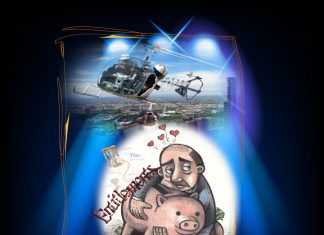 The petition: Stop Future Entitlement Rorts.