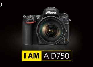 Nikon Users Reporting Another Shutter Issue with the D750