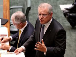 Divining the May 2016 federal budget