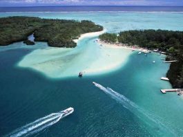 Multinational tax avoidance cost Australia $6bn in 2014, Oxfam report claims