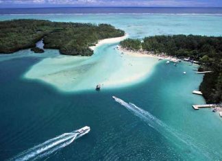 Multinational tax avoidance cost Australia $6bn in 2014, Oxfam report claims