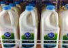 Science or Snake Oil: is A2 milk better for you than regular cow’s milk?