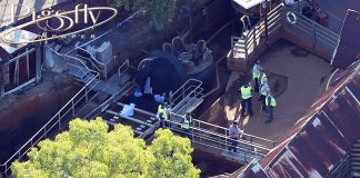Deaths at Dreamworld theme park could lead to safety changes for amusement rides