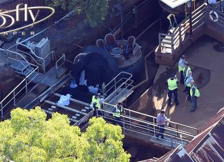 Deaths at Dreamworld theme park could lead to safety changes for amusement rides