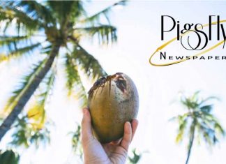 Five claims about coconut oil debunked