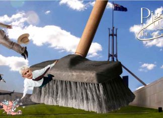 The High Court sticks to the letter of the law on the ‘citizenship seven’