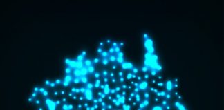 The National Electricity Market has served its purpose – it’s time to move on