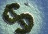 Three strategies to fight the tax avoidance revealed by the Paradise Papers