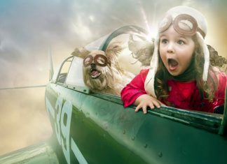 Animate still photography in Photoshop with Artymate, first impressions