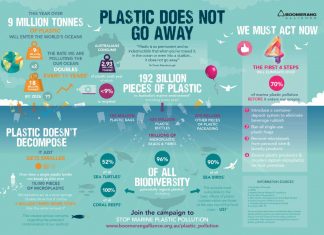 Deposit schemes reduce drink containers in the ocean by 40%