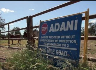 Adani’s key water management plan is flawed and used some unverified data, CSIRO says