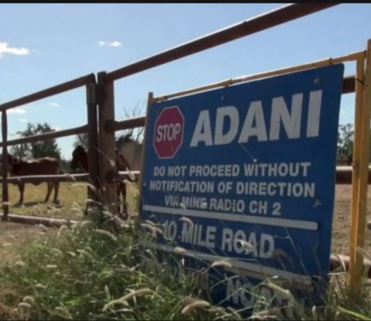 Adani’s key water management plan is flawed and used some unverified data, CSIRO says