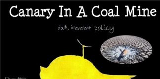 The Murray-Darling Basin: Water, markets, money and more money