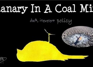 The Murray-Darling Basin: Water, markets, money and more money