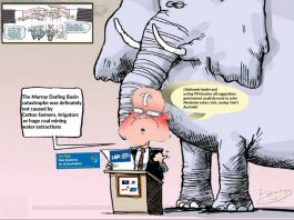 Murray Darling Basin disaster. Why?