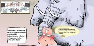 Murray Darling Basin disaster. Why?