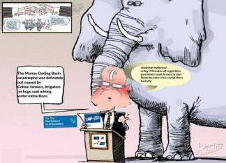 Murray Darling Basin disaster. Why?