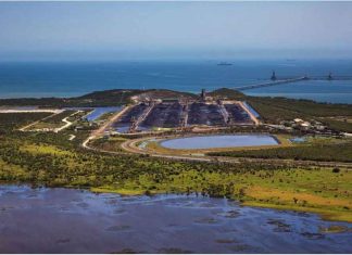 Adani – Interactive cost, environmental impacts, jobs and the future