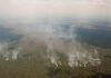 The Amazon is on fire – here are 5 things you need to know