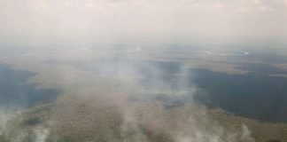 The Amazon is on fire – here are 5 things you need to know