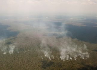 The Amazon is on fire – here are 5 things you need to know