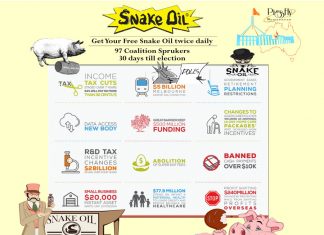 Australian democracy is at risk. If we want to save it, we must all play a part