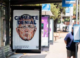 ‘Bushfire brandalism’: Australian artists replace bus shelter ads with political posters