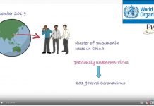 WHO: Infographic explains coronavirus COVID-10