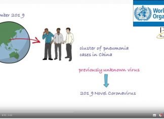 WHO: Infographic explains coronavirus COVID-10