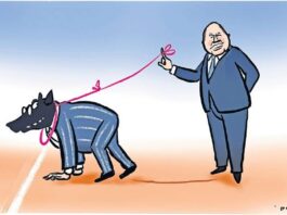 Losing interest in bank reform