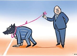 Losing interest in bank reform