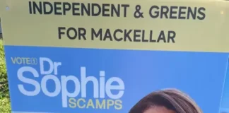 Mackellar malaise: could an independent GP cause an upset in the Liberals’ beachside bastion?