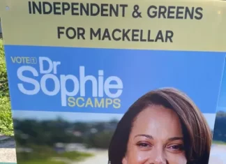 Mackellar malaise: could an independent GP cause an upset in the Liberals’ beachside bastion?