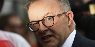 Journalists demand stunts from Albo as unemployment hits new low