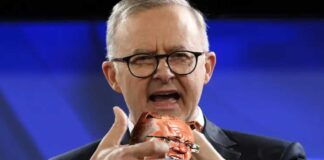 Budget repair starts with grants