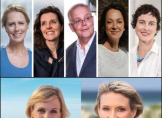 Why teal independents are seeking Liberal voters and spooking Liberal MPs