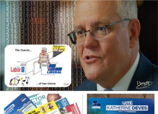 Liberals to benefit from UAP preferences in many key seats