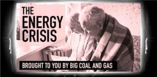 Energy A market not worthy of the name: state capture to blame for energy crisis