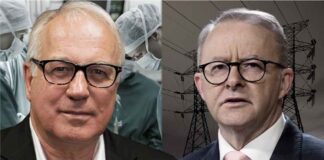 Albanese’s note to self – Don’t get blamed for the Morrison crises