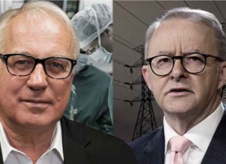 Albanese’s note to self – Don’t get blamed for the Morrison crises