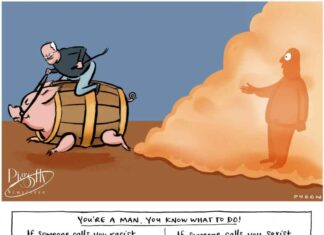 Albo is Taking stock