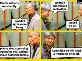 The Albanese government’s emissions reduction scheme under fire