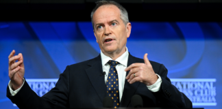 Shorten reboot to put NDIS back ‘on the right track’