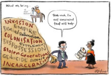 Voice to Parliament: the brains behind the No campaigns