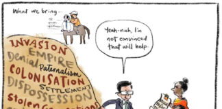 Voice to Parliament: the brains behind the No campaigns