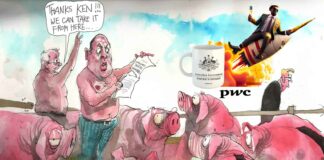 State capture: Tax avoidance on a mega scale